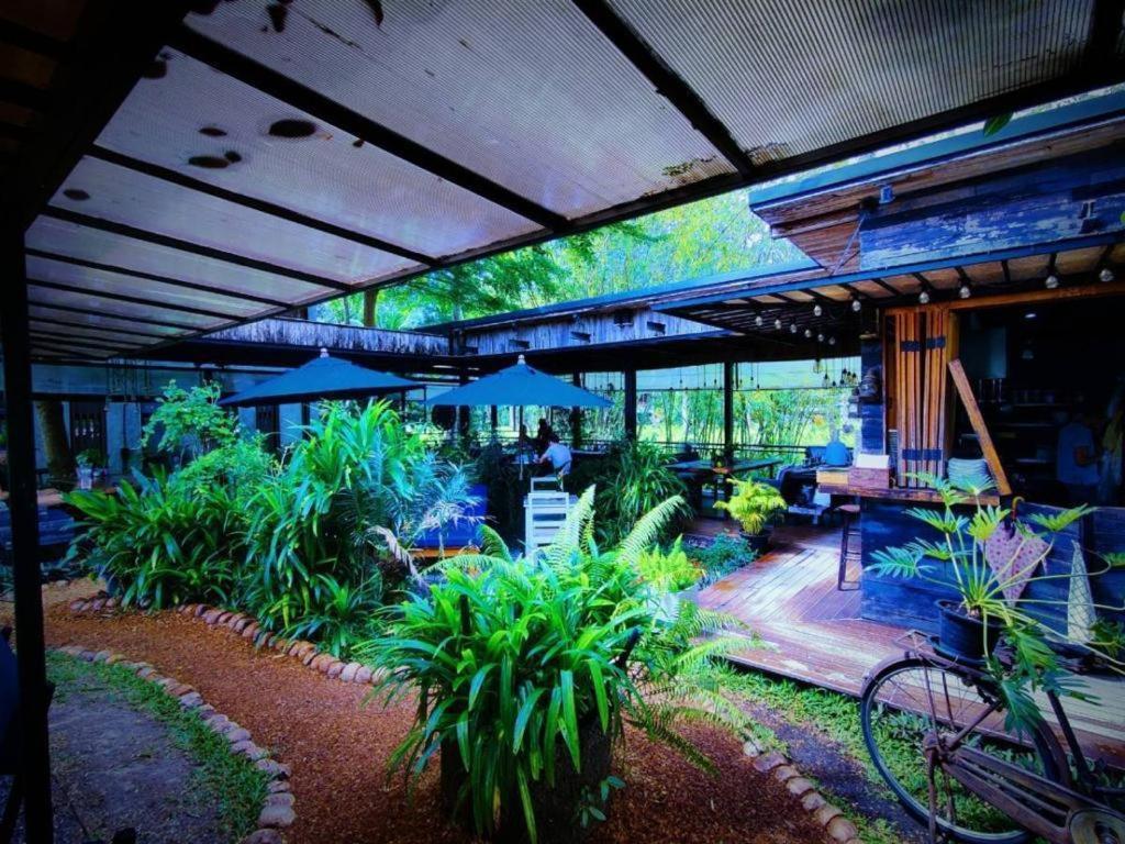 The Willow Phangan Koh Phangan Exteriör bild