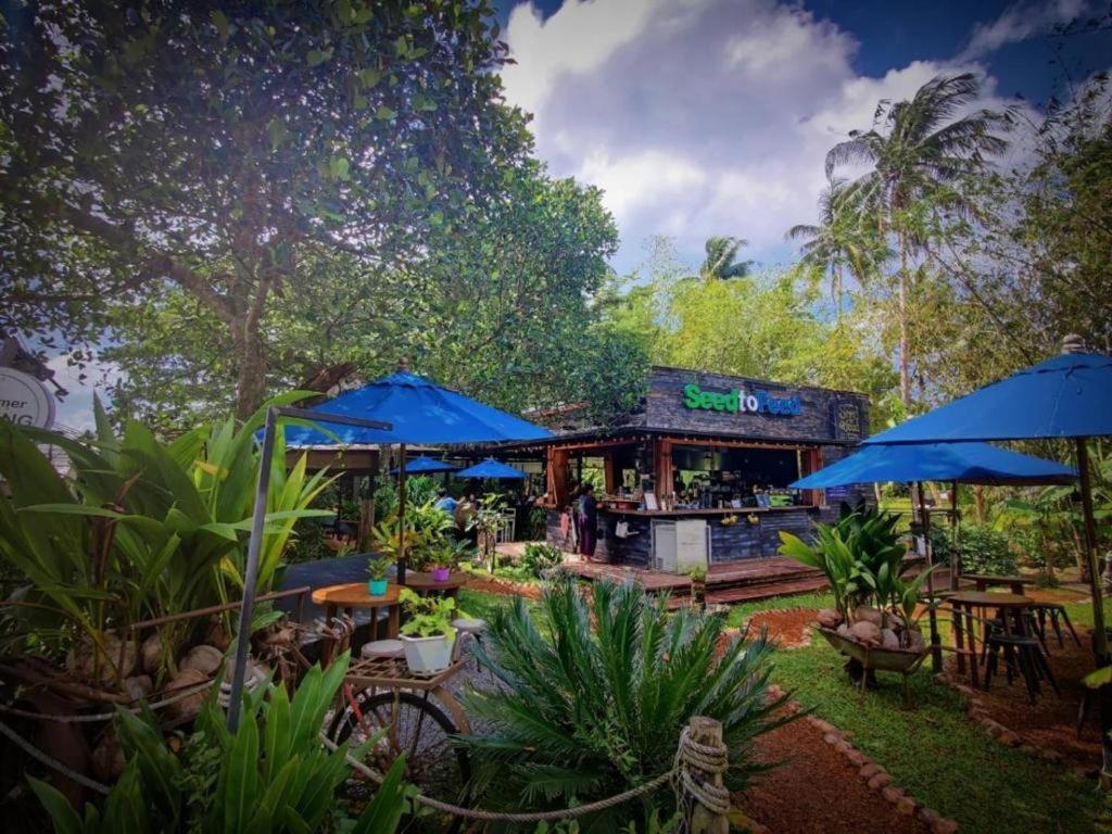 The Willow Phangan Koh Phangan Exteriör bild