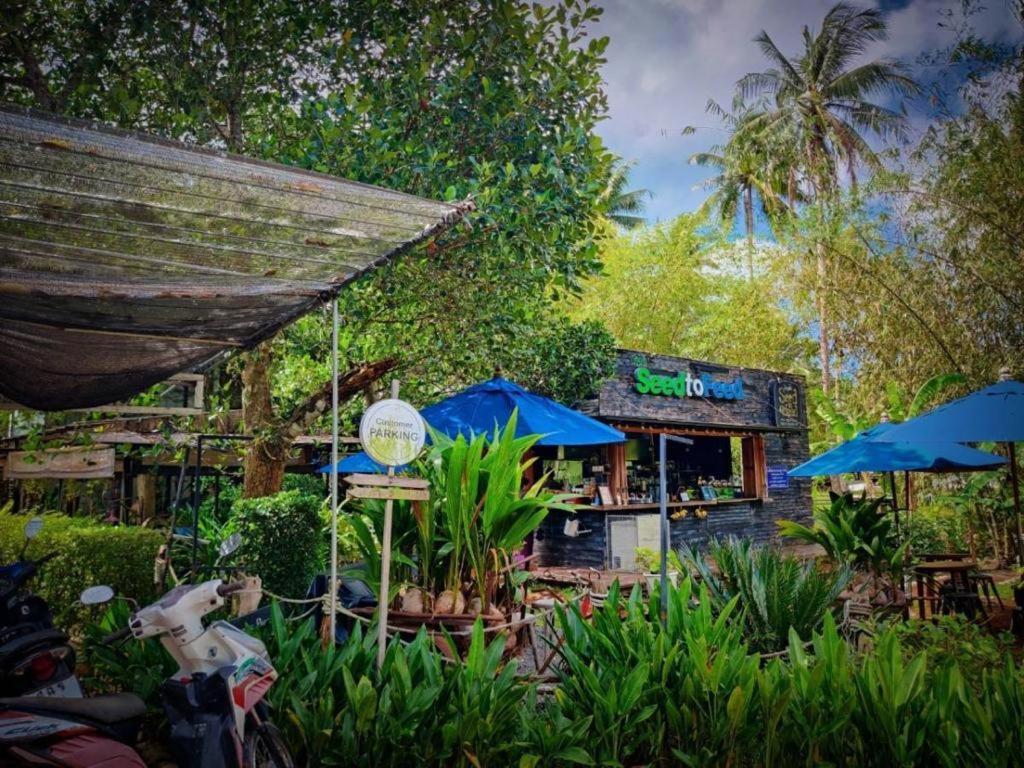 The Willow Phangan Koh Phangan Exteriör bild