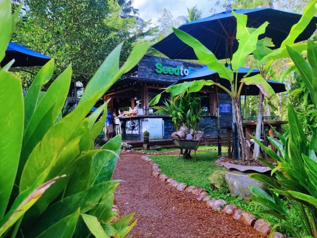 The Willow Phangan Koh Phangan Exteriör bild